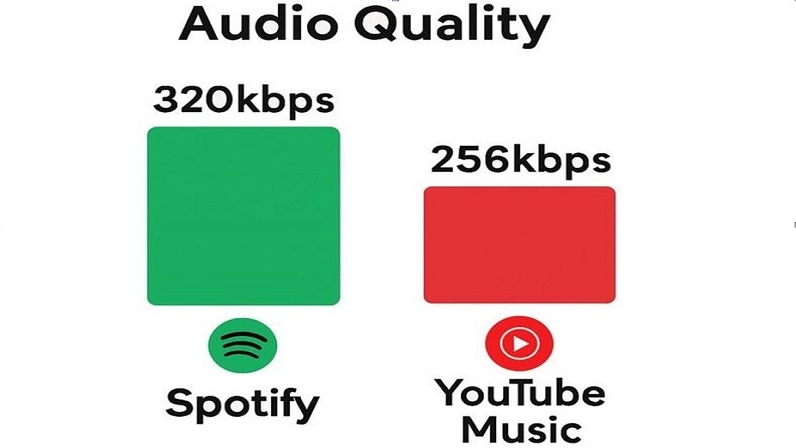 Streaming Quality & Compatibility